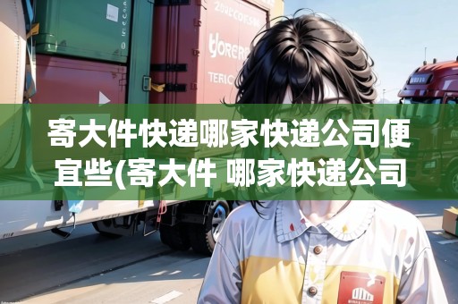 寄大件快遞哪家快遞公司便宜些(寄大件 哪家快遞公司 便宜點)