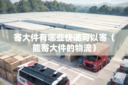 寄大件有哪些快遞可以寄（能寄大件的物流）