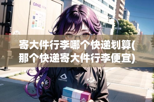 寄大件行李哪個快遞劃算(那個快遞寄大件行李便宜)