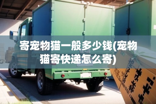 寄寵物貓一般多少錢(寵物貓寄快遞怎么寄)
