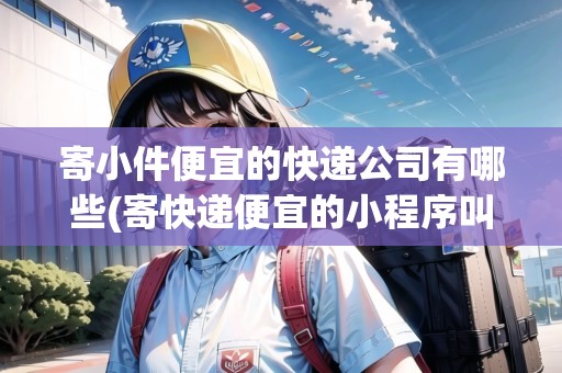 寄小件便宜的快遞公司有哪些(寄快遞便宜的小程序叫什么軟件)