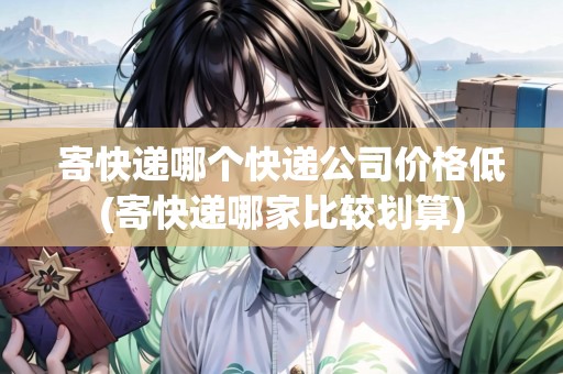 寄快遞哪個(gè)快遞公司價(jià)格低(寄快遞哪家比較劃算)
