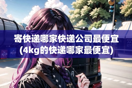 寄快遞哪家快遞公司最便宜(4kg的快遞哪家最便宜)