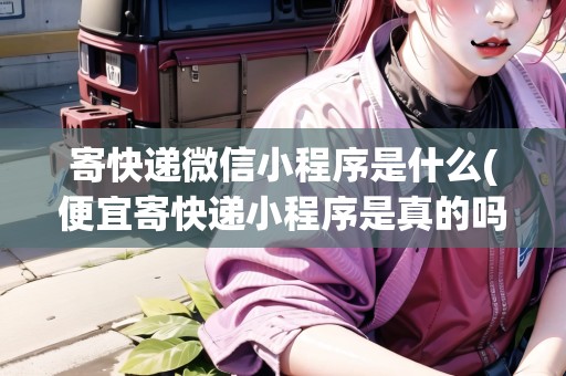 寄快遞微信小程序是什么(便宜寄快遞小程序是真的嗎安全嗎) 寄快遞微信小程序是什么(便宜寄快遞小程序是真的嗎安全嗎)