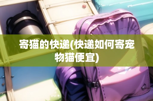 寄貓的快遞(快遞如何寄寵物貓便宜)