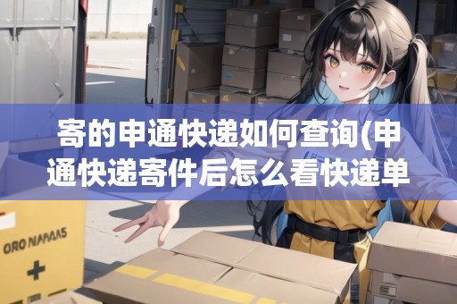 寄的申通快遞如何查詢(申通快遞寄件后怎么看快遞單號(hào))