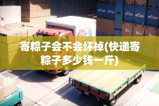 寄粽子會不會壞掉(快遞寄粽子多少錢一斤)