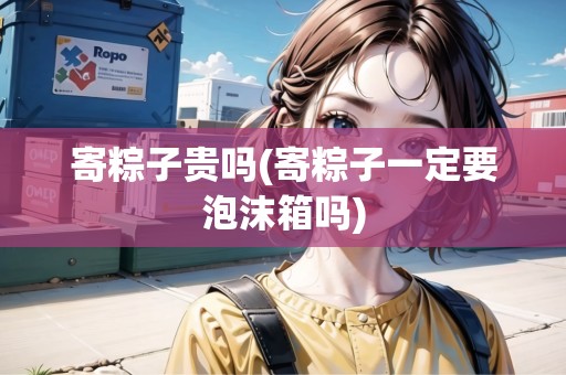 寄粽子貴嗎(寄粽子一定要泡沫箱嗎) 寄粽子貴嗎(寄粽子一定要泡沫箱嗎)