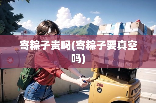 寄粽子貴嗎(寄粽子要真空嗎)