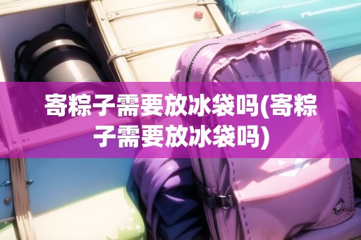 寄粽子需要放冰袋嗎(寄粽子需要放冰袋嗎)