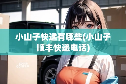 小山子快遞有哪些(小山子順豐快遞電話)