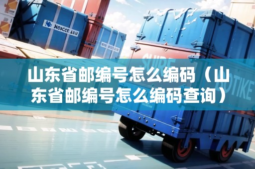 山東省郵編號(hào)怎么編碼（山東省郵編號(hào)怎么編碼查詢）