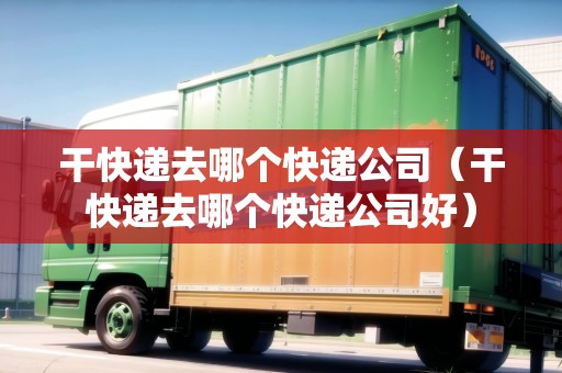 干快遞去哪個(gè)快遞公司（干快遞去哪個(gè)快遞公司好）