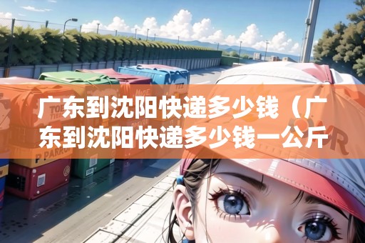 廣東到沈陽快遞多少錢（廣東到沈陽快遞多少錢一公斤）