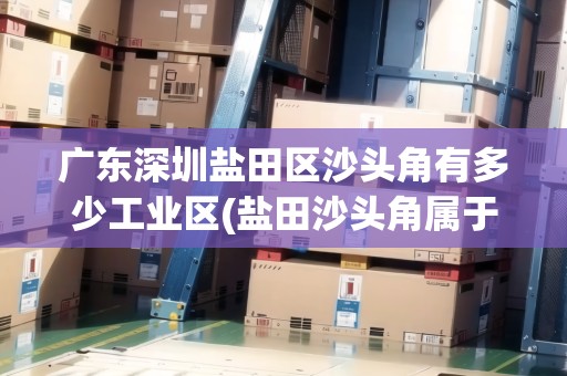 廣東深圳鹽田區(qū)沙頭角有多少工業(yè)區(qū)(鹽田沙頭角屬于哪個區(qū))