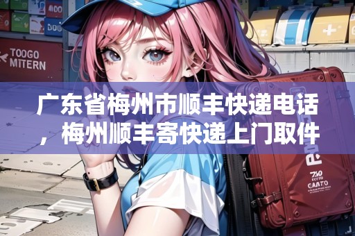 廣東省梅州市順豐快遞電話，梅州順豐寄快遞上門取件