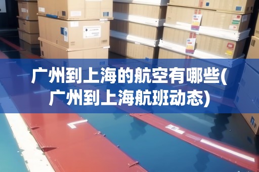 廣州到上海的航空有哪些(廣州到上海航班動態(tài))
