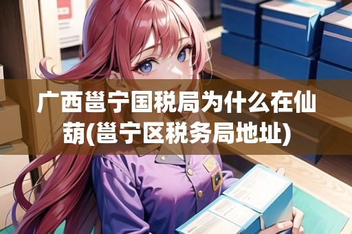 廣西邕寧國稅局為什么在仙葫(邕寧區(qū)稅務局地址) 廣西邕寧國稅局為什么在仙葫(邕寧區(qū)稅務局地址)
