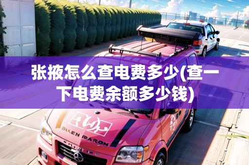 張掖怎么查電費(fèi)多少(查一下電費(fèi)余額多少錢(qián))