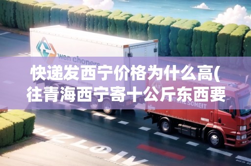 快遞發(fā)西寧價(jià)格為什么高(往青海西寧寄十公斤東西要多少錢(qián))