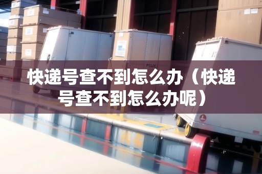 快遞號查不到怎么辦（快遞號查不到怎么辦呢）
