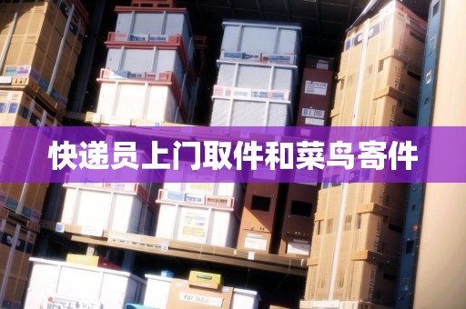 快遞員上門取件和菜鳥寄件 快遞員上門取件和菜鳥寄件
