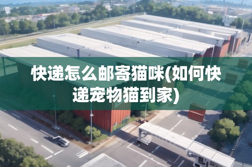 快遞怎么郵寄貓咪(如何快遞寵物貓到家)