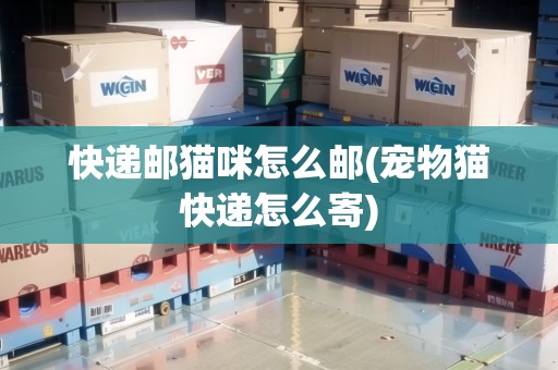 快遞郵貓咪怎么郵(寵物貓快遞怎么寄) 快遞郵貓咪怎么郵(寵物貓快遞怎么寄)