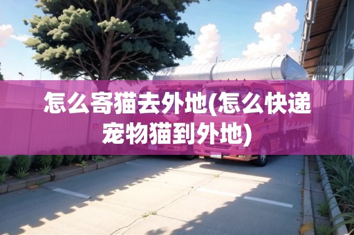 怎么寄貓去外地(怎么快遞寵物貓到外地)