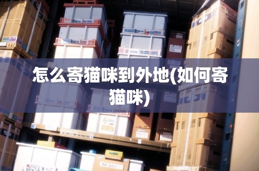 怎么寄貓咪到外地(如何寄貓咪)