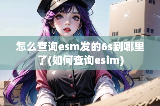 怎么查詢esm發(fā)的6s到哪里了(如何查詢esim)
