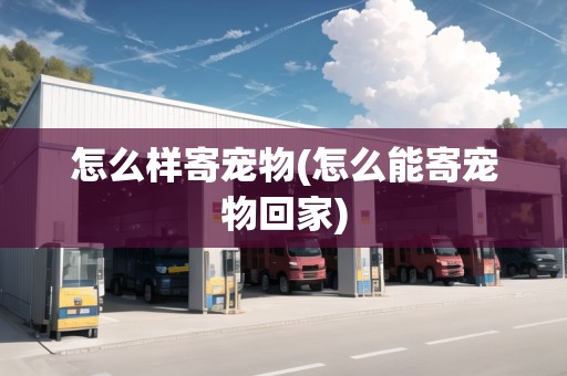 怎么樣寄寵物(怎么能寄寵物回家)