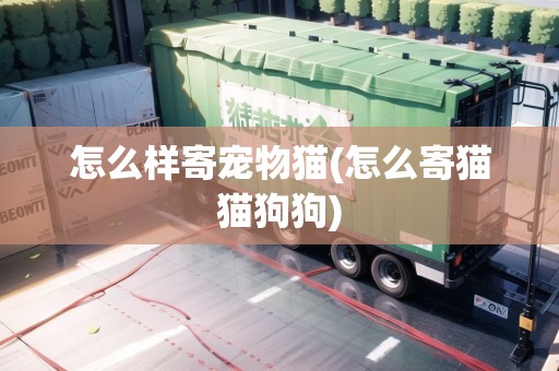 怎么樣寄寵物貓(怎么寄貓貓狗狗)