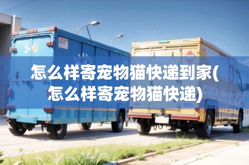 怎么樣寄寵物貓快遞到家(怎么樣寄寵物貓快遞)
