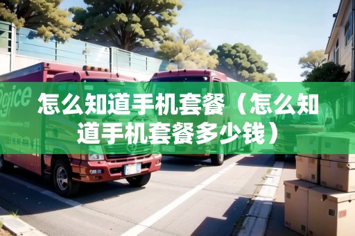 怎么知道手機(jī)套餐（怎么知道手機(jī)套餐多少錢）