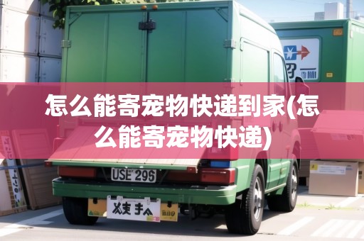 怎么能寄寵物快遞到家(怎么能寄寵物快遞) 怎么能寄寵物快遞到家(怎么能寄寵物快遞)