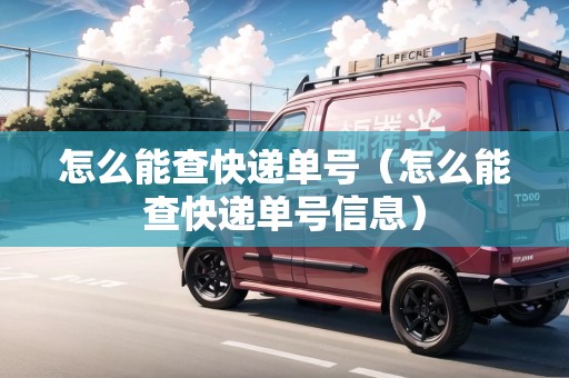 怎么能查快遞單號(hào)（怎么能查快遞單號(hào)信息）