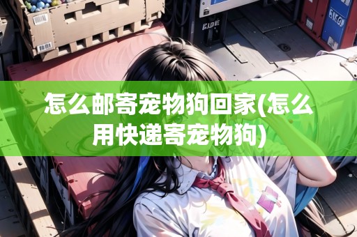 怎么郵寄寵物狗回家(怎么用快遞寄寵物狗)