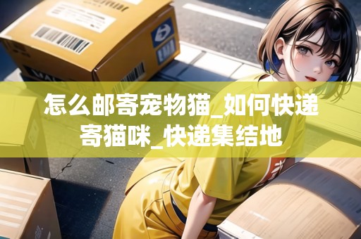 怎么郵寄寵物貓_如何快遞寄貓咪_快遞集結(jié)地