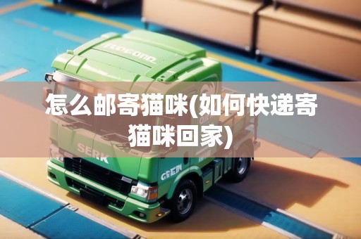怎么郵寄貓咪(如何快遞寄貓咪回家)