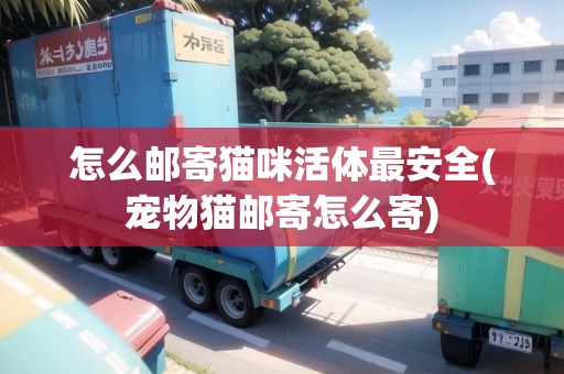 怎么郵寄貓咪活體最安全(寵物貓郵寄怎么寄)
