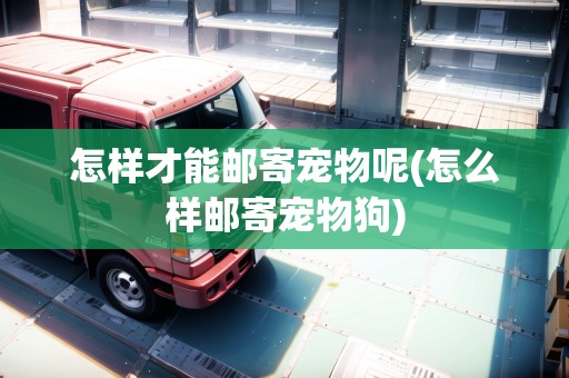 怎樣才能郵寄寵物呢(怎么樣郵寄寵物狗)