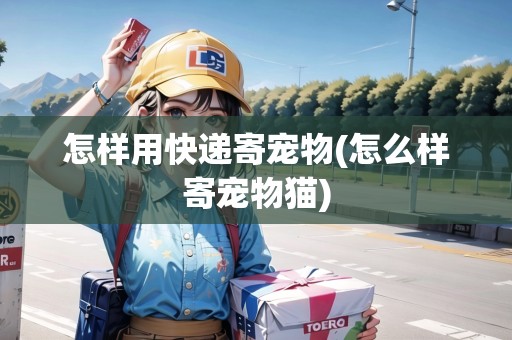 怎樣用快遞寄寵物(怎么樣寄寵物貓)