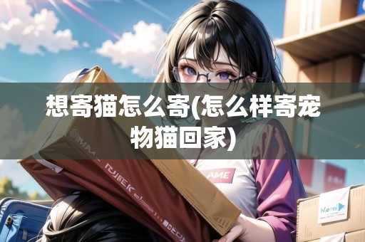 想寄貓怎么寄(怎么樣寄寵物貓回家)