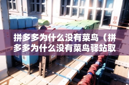 拼多多為什么沒有菜鳥（拼多多為什么沒有菜鳥驛站取件碼）