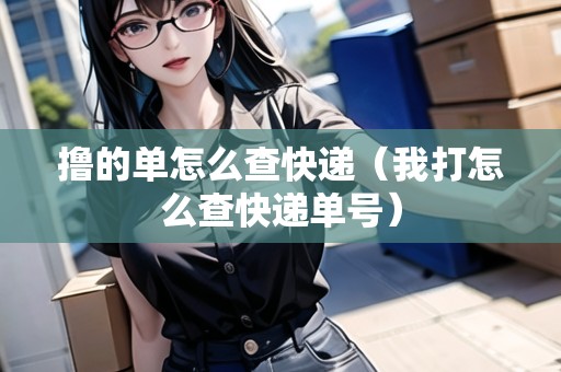 擼的單怎么查快遞（我打怎么查快遞單號）