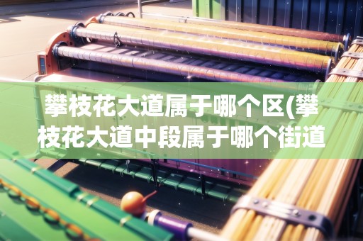 攀枝花大道屬于哪個(gè)區(qū)(攀枝花大道中段屬于哪個(gè)街道)
