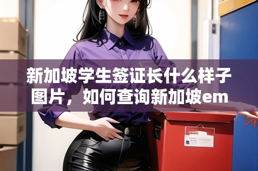 新加坡學(xué)生簽證長(zhǎng)什么樣子圖片，如何查詢新加坡ems