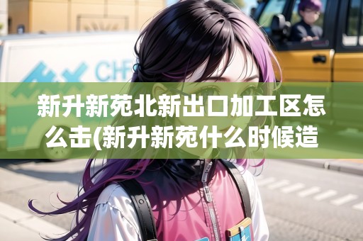 新升新苑北新出口加工區(qū)怎么擊(新升新苑什么時候造的)