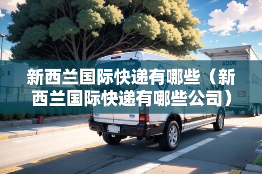 新西蘭國(guó)際快遞有哪些（新西蘭國(guó)際快遞有哪些公司）